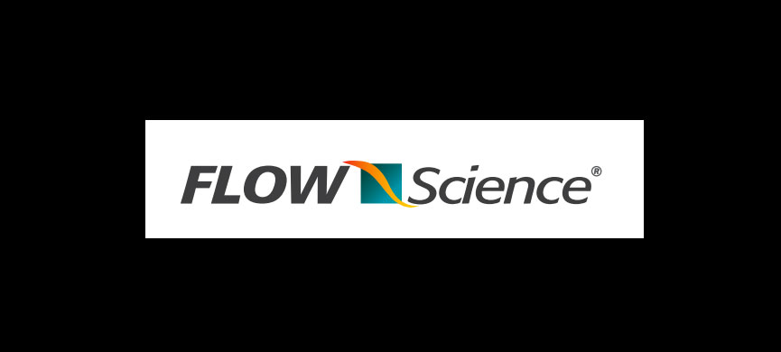 fundidores Flow Science