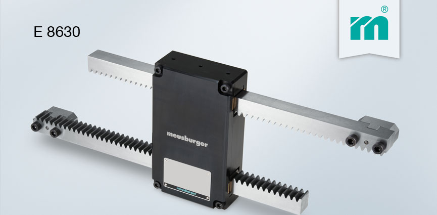 moldes sándwich E 8630 Meusburger