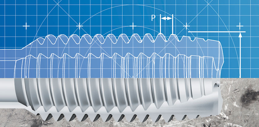 programa semi estandar Hoffmann Group.